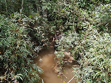cg9_137.jpg