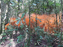 cg9_222.jpg