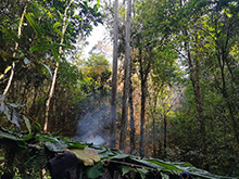 cg9_223.jpg