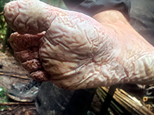 cg9_263.jpg