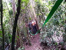 cg9_330.jpg