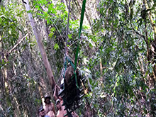 cg9_340.jpg