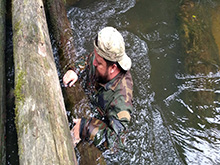 cg9_384.jpg