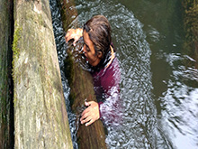 cg9_388.jpg