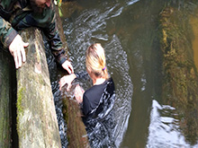 cg9_394.jpg
