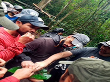 cg9_445.jpg
