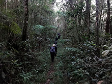 congo_belga119.jpg