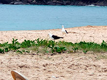 galapagos_037.jpg
