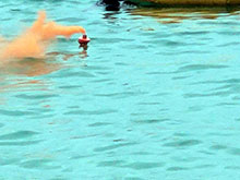 galapagos_051.jpg
