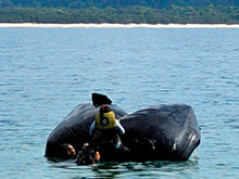 galapagos_093.jpg