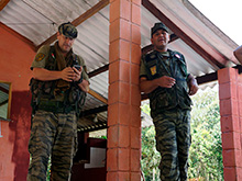 gato135.jpg