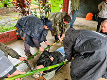igarape_013.jpg