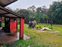 igarape_018.jpg