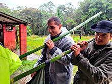 igarape_021.jpg