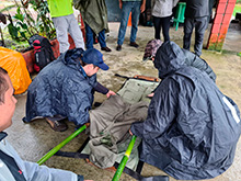 igarape_023.jpg