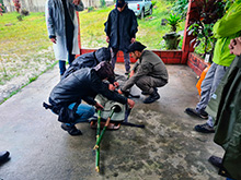 igarape_025.jpg