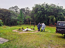 igarape_030.jpg