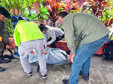 igarape_049.jpg