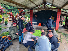 igarape_058.jpg