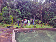 igarape_067.jpg