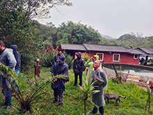 igarape_070.jpg