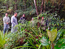 igarape_071.jpg
