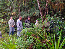 igarape_072.jpg