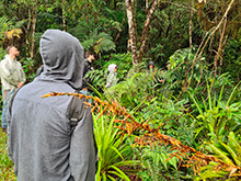 igarape_073.jpg
