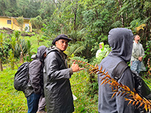 igarape_074.jpg