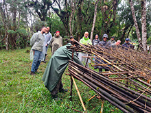 igarape_080.jpg