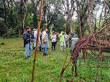igarape_081.jpg
