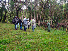 igarape_083.jpg