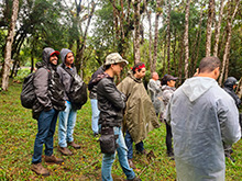 igarape_085.jpg