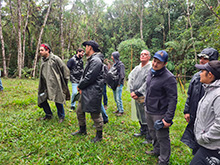 igarape_088.jpg