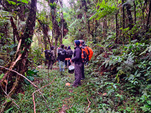 igarape_101.jpg