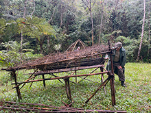 igarape_162.jpg