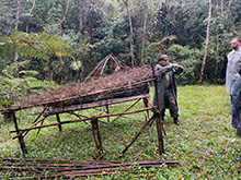 igarape_163.jpg