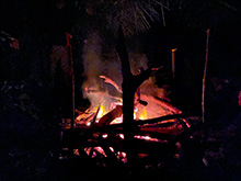 igarape_218.jpg