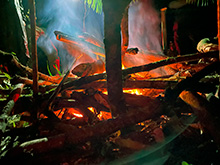 igarape_220.jpg