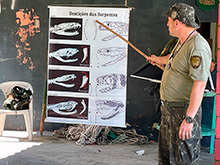 igarape_256.jpg