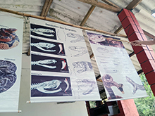 kids14_016.jpg