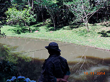 macarico95.jpg