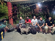 macuxi_002.jpg