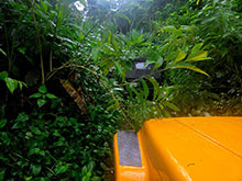 manucapuru_003.jpg