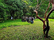 manucapuru_030.jpg