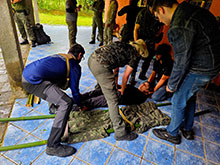 manucapuru_052.jpg
