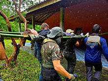 manucapuru_053.jpg