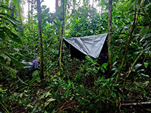 manucapuru_068.jpg