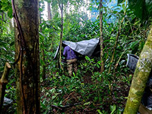 manucapuru_072.jpg