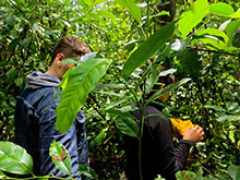 manucapuru_079.jpg